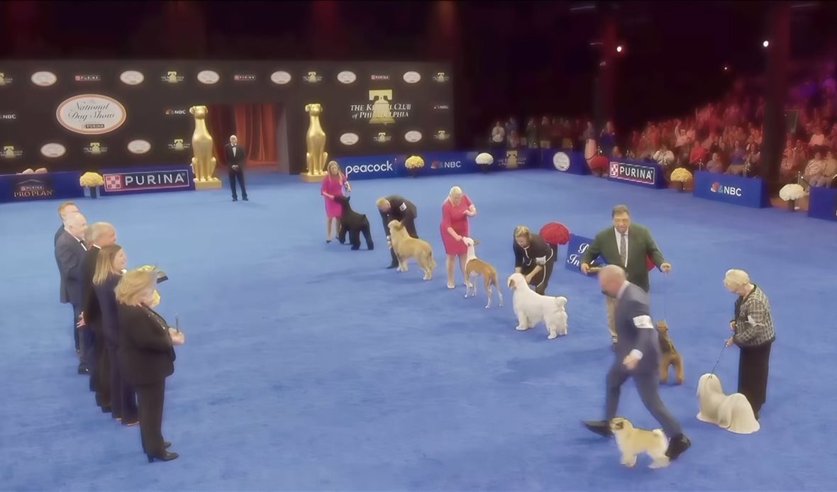 National Dog Show