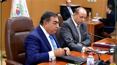 محافظ الدقهلية وجامعة المنصورة: شراكة استراتيجية لتعزيز الهوية البصرية وتطوير الخدمات