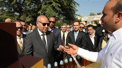 محافظ القاهرة يفتتح مهرجان العسل المصري السابع: دعم الصناعة المحلية وتعزيز التصدير