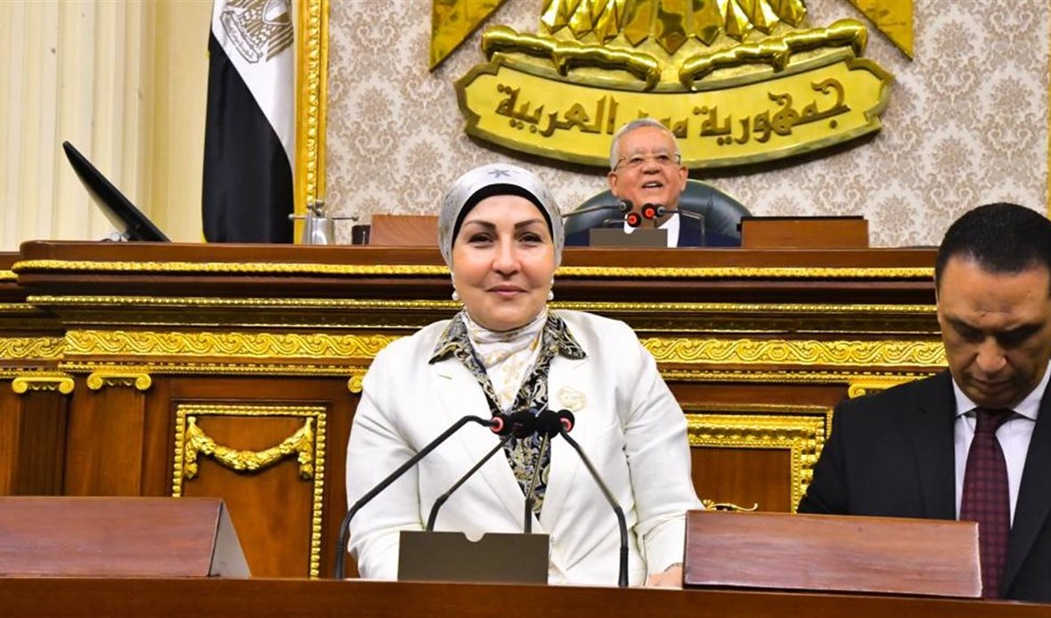 النائبة هالة أبو