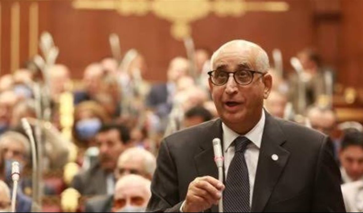النائب حسانين توفيق