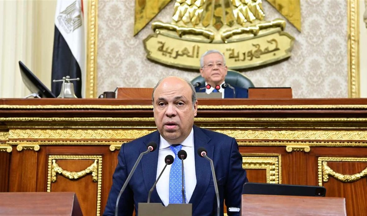الدكتور سامح الحفنى
