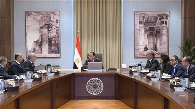 رئيس الوزراء يلتقي الرئيس التنفيذي لشركة 