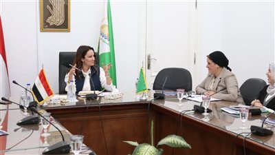 الجيزة تسعى للانضمام إلى شبكة المدن الإبداعية لليونسكو: خطوة نحو تعزيز التراث والثقافة