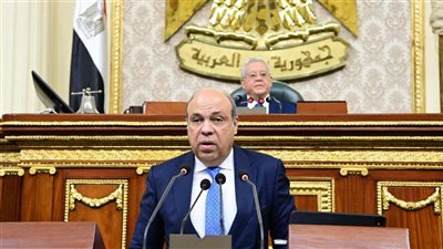 وزير الطيران يستعرض خطط زيادة الطاقة الاستيعابية للمطارات أمام النواب 