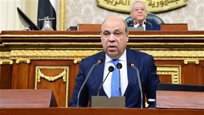 وزير الطيران لـ النواب: جميع المطارات المصرية ليست للبيع