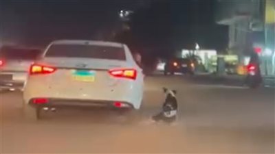 ضبط شخصين في الجيزة بعد سحب كلب ضال بسيارة
