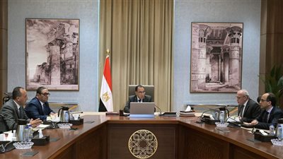 رئيس الوزراء يتابع الموقف التنفيذي لمشروعات هيئة تنمية الصعيد لتعزيز التنمية الشاملة بمحافظات الوجه القبليّ
