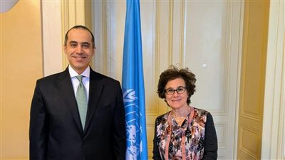 وزير الشئون النيابية يلتقي نائب المفوض السامي لحقوق الإنسان في جنيف
