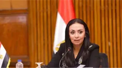 14.5 مليار جنيه لدعم الجمعيات الأهلية: طفرة في المنح الخارجية لتعزيز المشروعات الصحية والتنموية