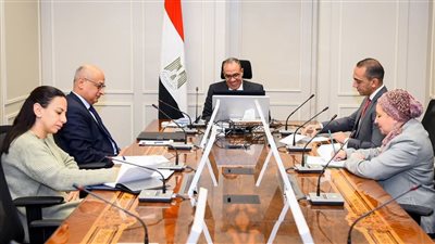 اجتماع افتراضي بين وزير الخارجية والمفوضة الأوروبية لإدارة الأزمات