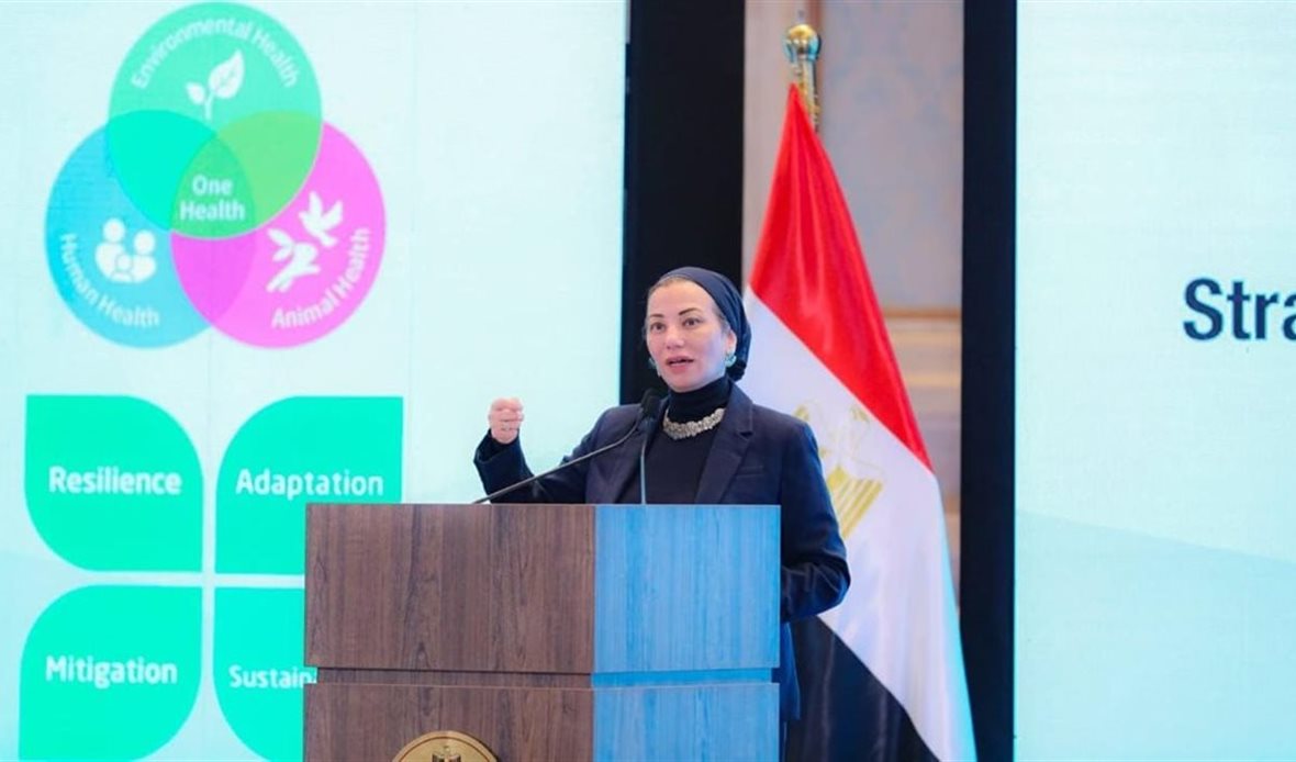 الدكتورة ياسمين فؤاد