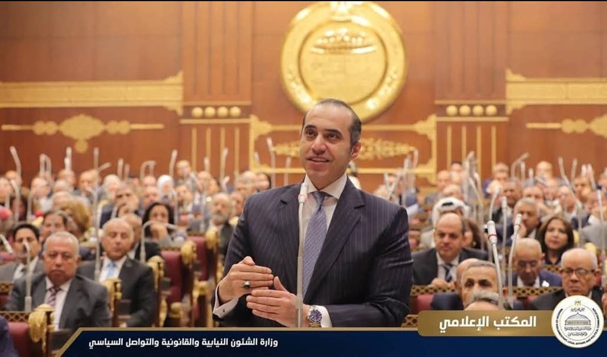 المستشار محمود فوزي