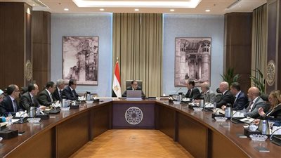 رئيس الوزراء يلتقي المدير التنفيذي لشركة 