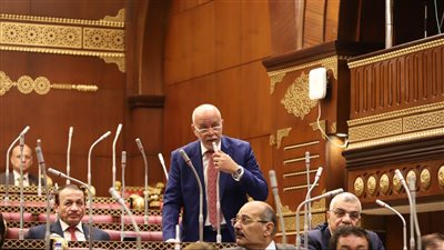 حازم الجندي: حديث الرئيس بأكاديمية الشرطة يعكس رؤية استراتيجية شاملة  لمواجهة التحديات وتنمية مصر