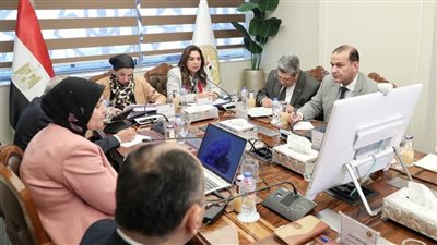 وزيرتا التنمية المحلية والبيئة تتابعان مع المحافظات المخطط التنفيذي لتشجير المحاور بمحافظات القاهرة الكبرى