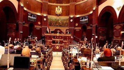 الحكومة ترفض إلغاء حبس الأطباء في قانون المسؤولية الطبية 