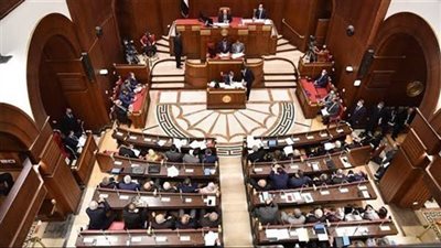 مجلس الشيوخ يرفض طلب رفع الحصانة عن النائب عبد السلام الجبلي