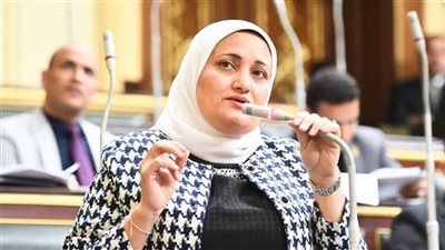 تحرك برلماني بشأن سقوط سيستم حجز وحدات الإسكان الاجتماعي 