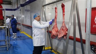 افتتاح مجزر نصف آلي بالشرقية بطاقة 40 رأس ماشية في الساعة وبتكلفة 100 مليون جنيه لتوفير لحوم آمنة وصحية