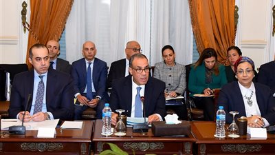 وزير الخارجية يرأس الاجتماع الثالث للجنة العليا لحقوق الإنسان في يناير 2025
