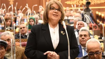 النائبة فيبي فوزي تدعو لزيادة الاستثمار في الأبحاث الجيولوجية وتقنيات التنقيب الحديثة   