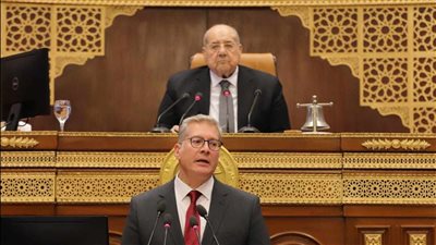 وزير البترول أمام 