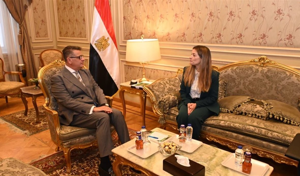 النائب طارق رضوان