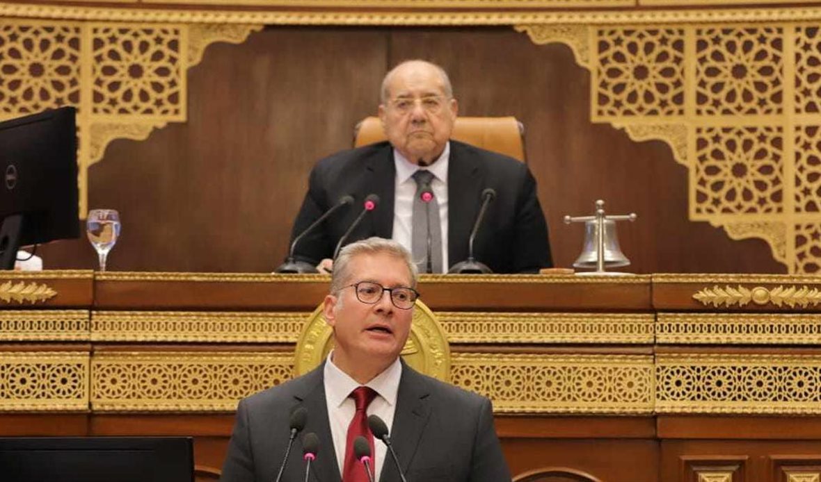 المهندس كريم بدوي