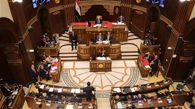 بدء أعمال الجلسة العامة لمجلس الشيوخ 