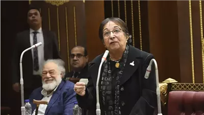 سميرة عبدالعزيز تشدد على أهمية قصور الثقافة وأثرها على الشباب 