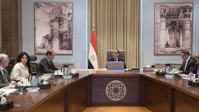 الحكومة تبدأ إجراءات طرح شركتي 