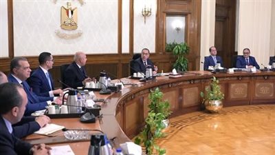 رئيس الوزراء: جهود حثيثة لتسريع الإفراج الجمركي وتحقيق الاستقرار في السوق المصرية