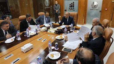 تنمية الصعيد والمنيا تبحثان تنفيذ مشروع الغابات الشجرية ومشروعات تنموية لتحقيق التنمية المستدامة