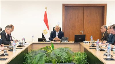 وزير الري يبحث مع “الفاو” والسفارة الهولندية تقدم مشروع تحديث تقنيات الري لدعم صغار المزارعين في صعيد مصر