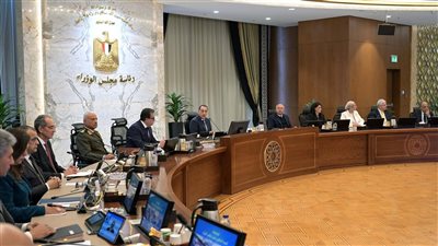 مجلس الوزراء برئاسة مدبولي يعتمد قرارات لدعم القطاعات الصناعية، البنية التحتية، والتعليم، والصحة
