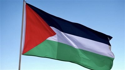 أستاذ علوم سياسية: إسرائيل لم تستطع التغلب على إرادة الشعب الفلسطيني