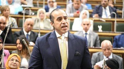 المستشار محمود فوزي: منصة مجلس النواب تسمح بجميع الآراء