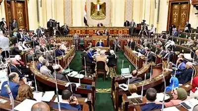 وزير الشئون النيابية: لا يوجد معتقلين في مصر والمحاكمة تتم أمام القاضي الطبيعي