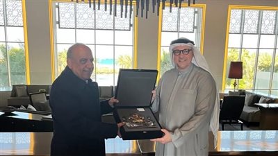 مصر تُعزّز شراكاتها مع الإمارات في الطاقة المتجددة وتضع رؤية جديدة لتعظيم كفاءة الشبكة الكهربائية