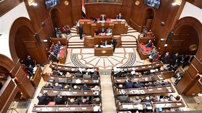 الأحد.. مجلس الشيوخ يناقش خطة الحكومة لتطوير المطارات وآليات مشاركة القطاع الخاص