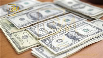 وزارة الداخلية تضبط قضايا اتجار غير مشروع في النقد الأجنبي بقيمة 5 ملايين جنيه خلال 24 ساعة
