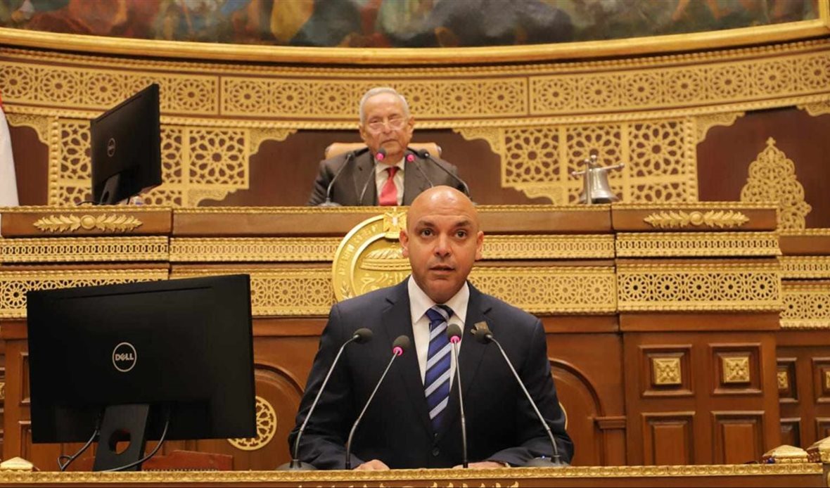 النائب محمود القط