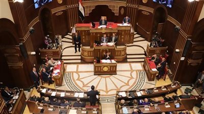 بدء أعمال الجلسة العامة لمجلس الشيوخ 