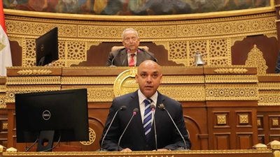 النائب محمود القط يستعرض طلب مناقشة بشأن تطوير المطارات المصرية 