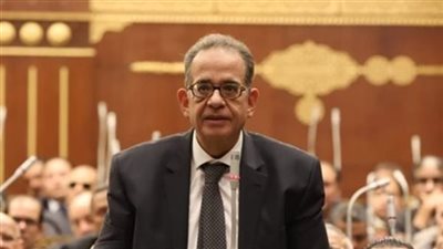 برلمانية الوفد بالشيوخ: مصر للطيران أصابها الكثير مما أصاب المؤسسات الحكومية 