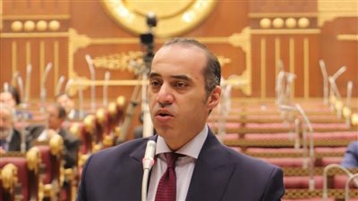 تعزيز كفاءة الطيران المدني ودعم الشراكة مع القطاع الخاص محور مناقشات مجلس الشيوخ المصري