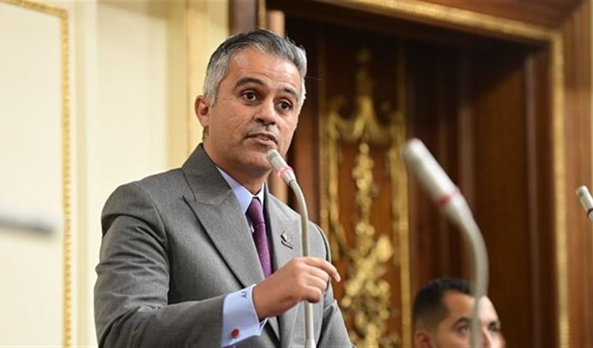 النائب أحمد فتحي