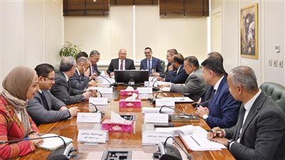 نائب رئيس الوزراء للتنمية الصناعية يبحث مع وزير الاستثمار معايير إنشاء المناطق الحرة الجديدة