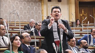 النائب أحمد مقلد: نرفض كل أشكال التهجير للفلسطينيين.. ونقف خلف القيادة السياسية ولن نفرط في شبر من سيناء